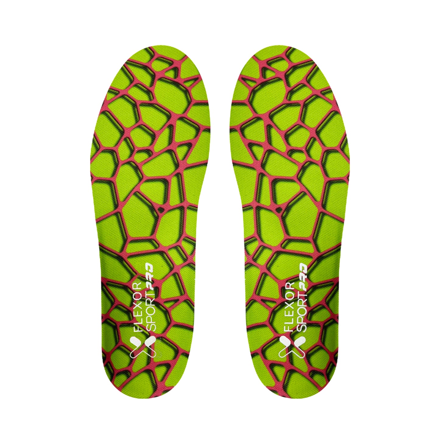 PLANTILLAS PADDLE PRO
