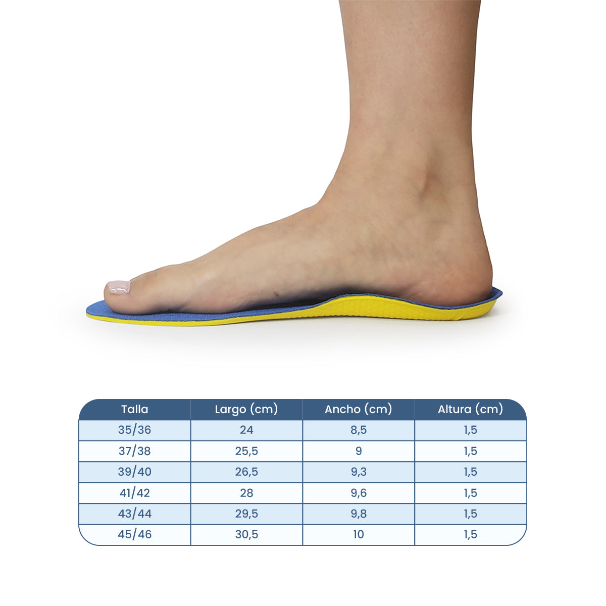 Plantilla Flexor Sport Fútbol